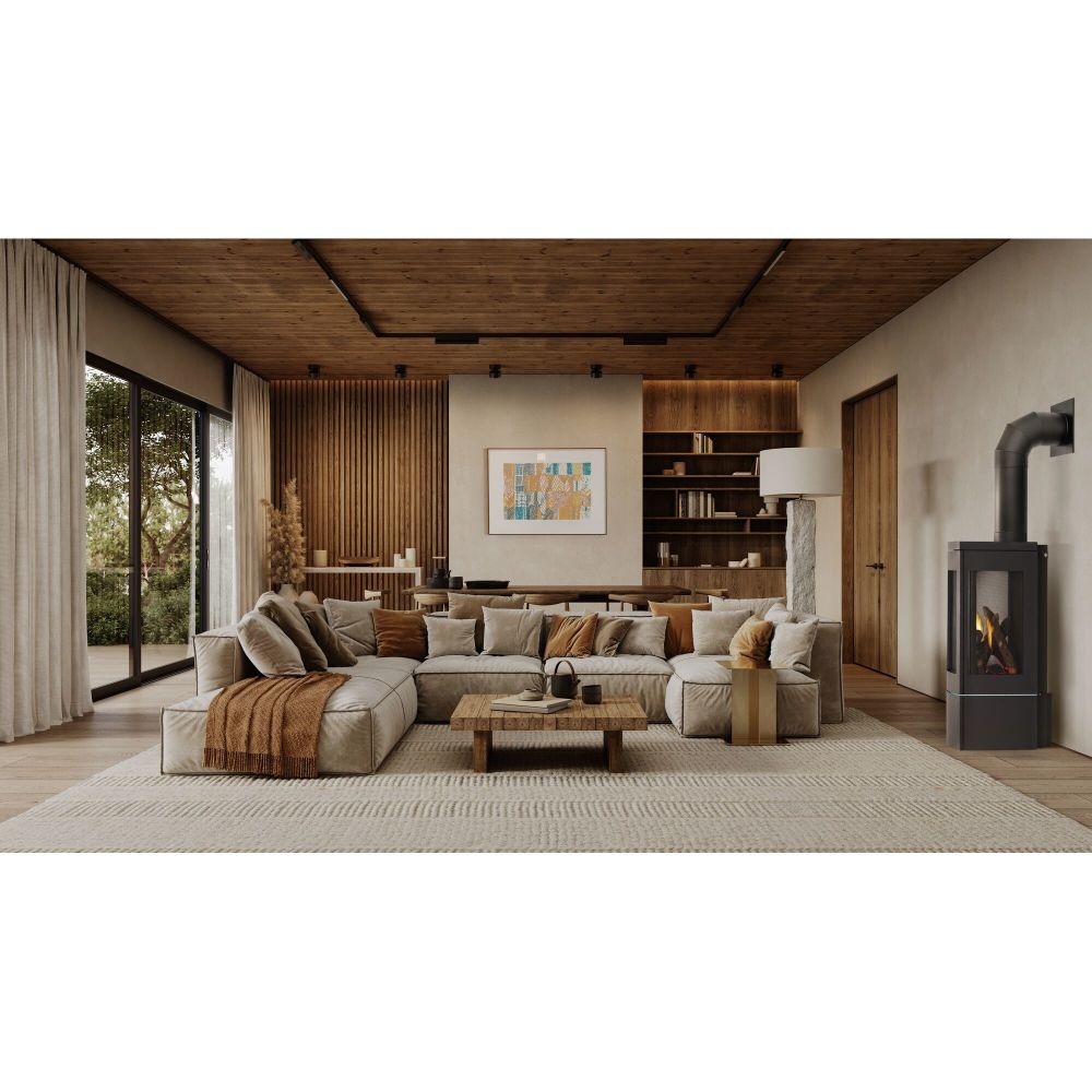 Napoleon Elora GDS30 Direct Vent Gas Stove