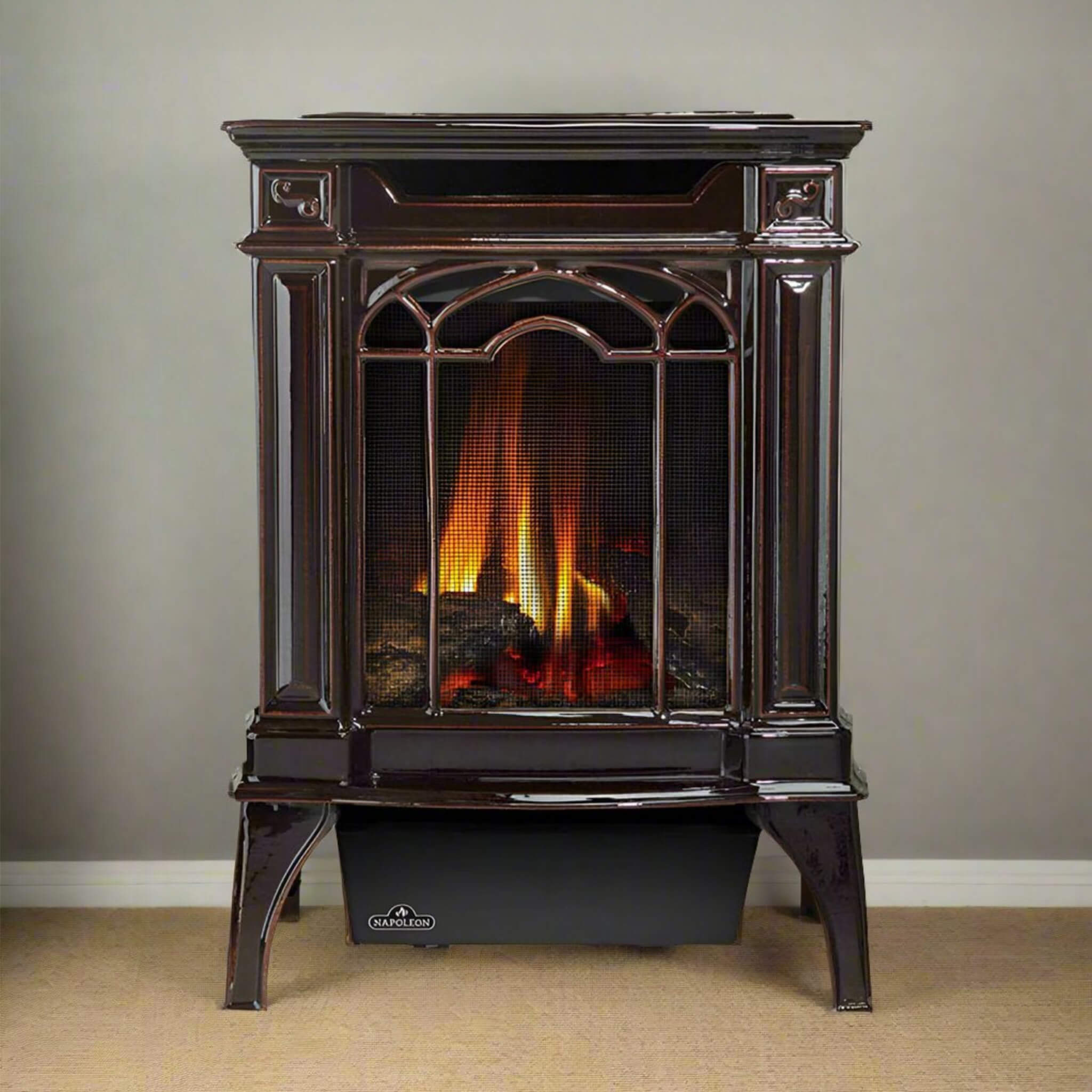 Napoleon Arlington 20 19-Inch Cast Iron Stove