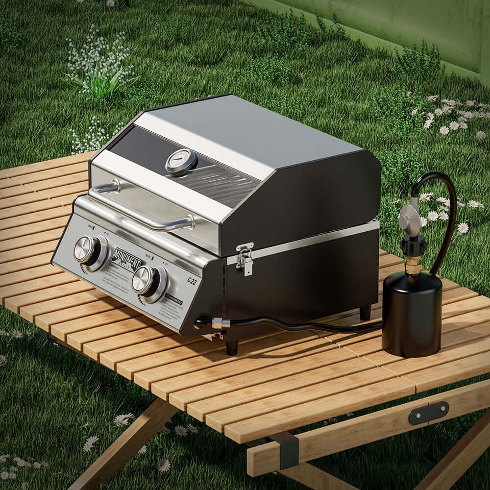 Stainless Tabletop Propane Gas Grill
