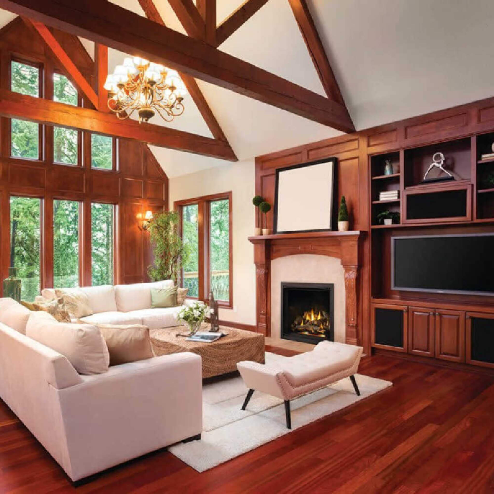 Napoleon Elevation Propane Gas Fireplace