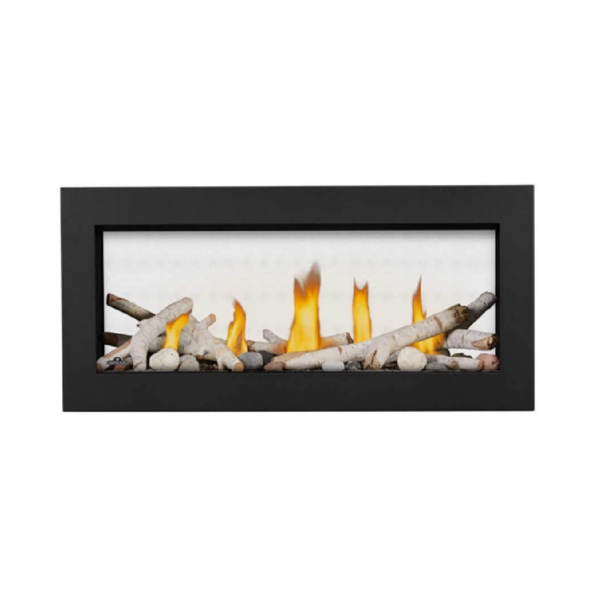 Napoleon See-Through Natural Gas Fireplace