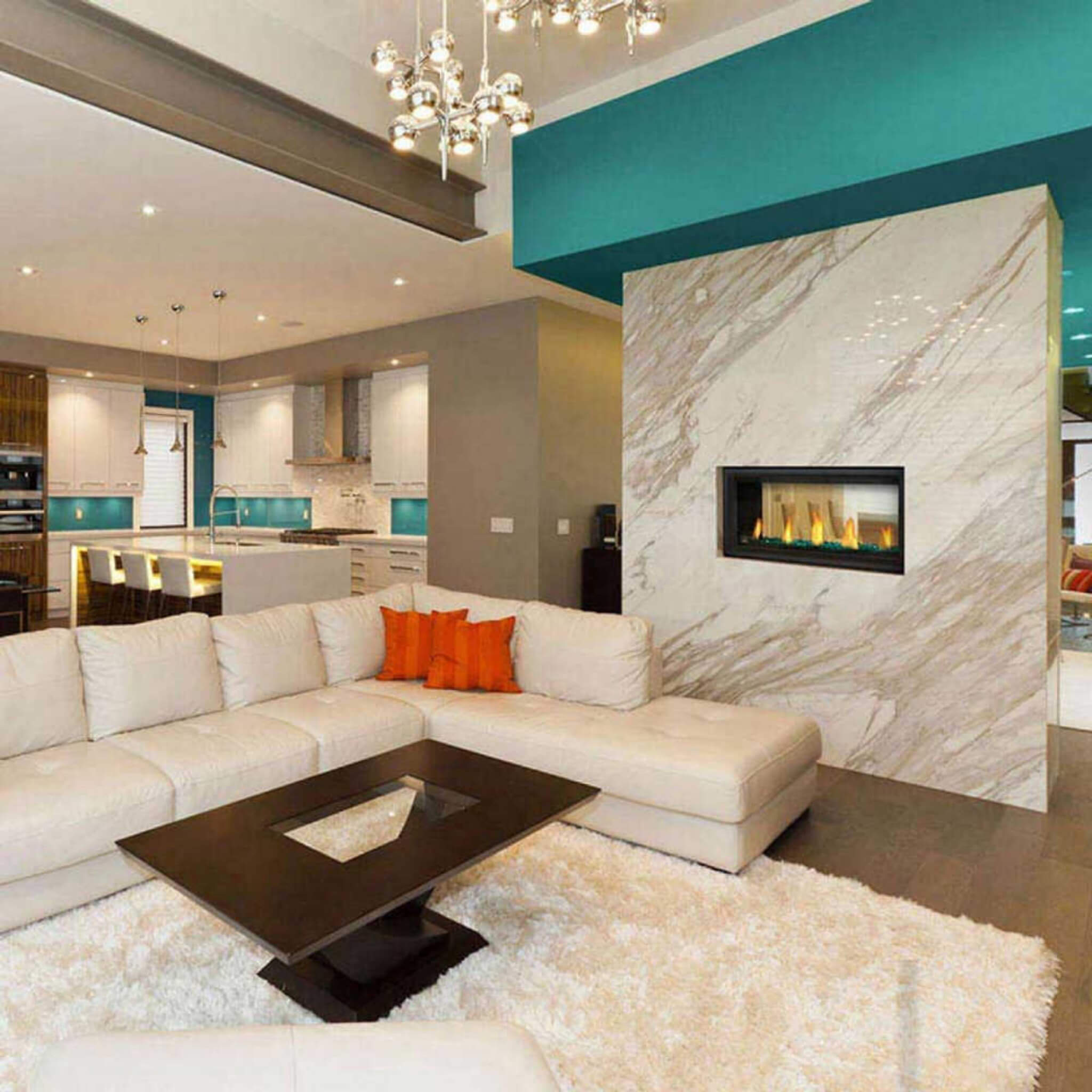 Napoleon See-Through Natural Gas Fireplace