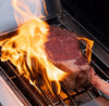Clearview Gas Grill