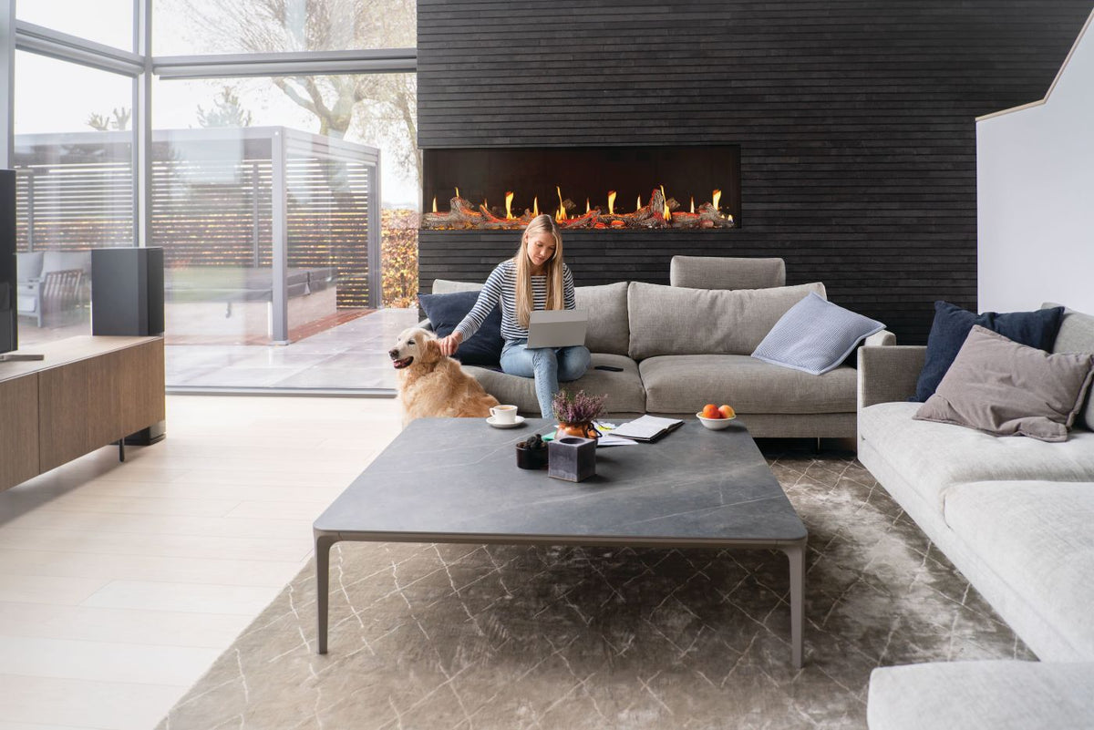 living room fireplace in background with coffee table a nd dog
