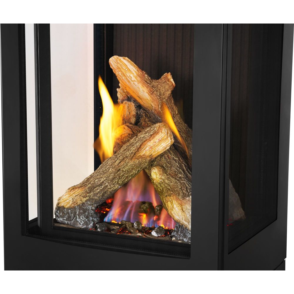 Napoleon Elora GDS30 Direct Vent Gas Stove