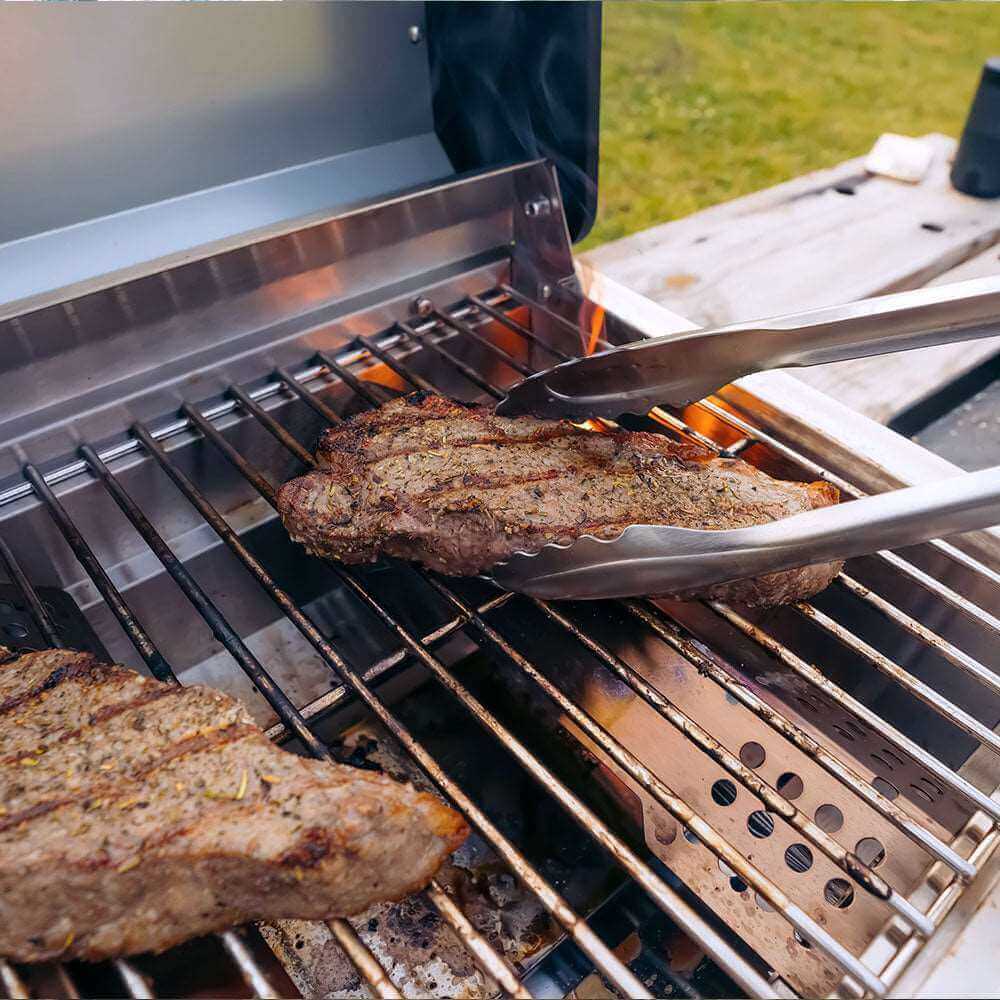 Stainless Tabletop Propane Gas Grill