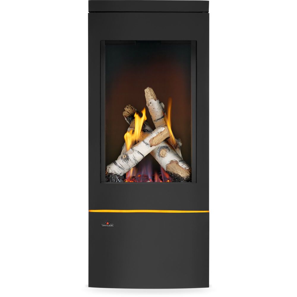 Napoleon Elora GDS30 Direct Vent Gas Stove
