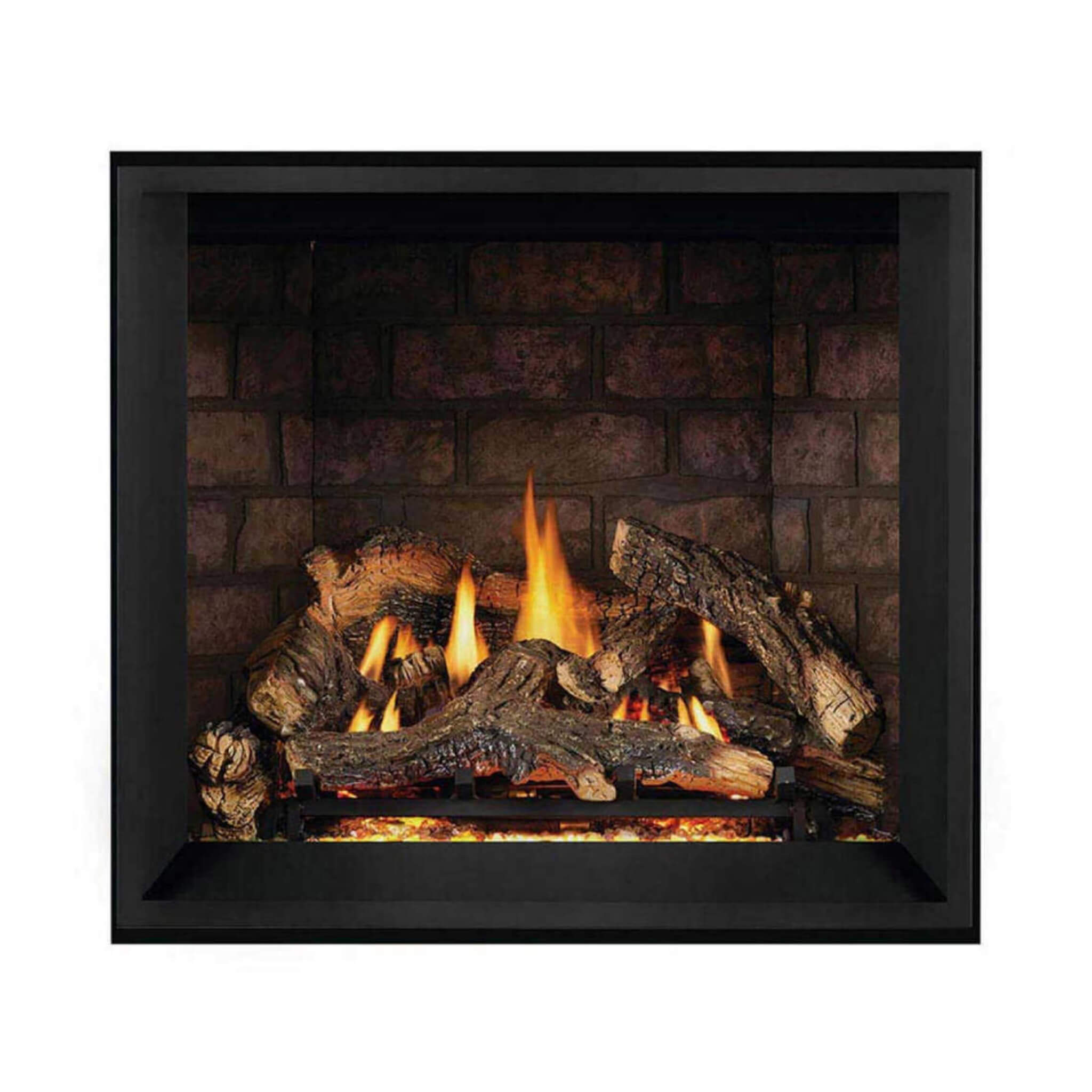 Napoleon Elevation  Propane Gas Fireplace