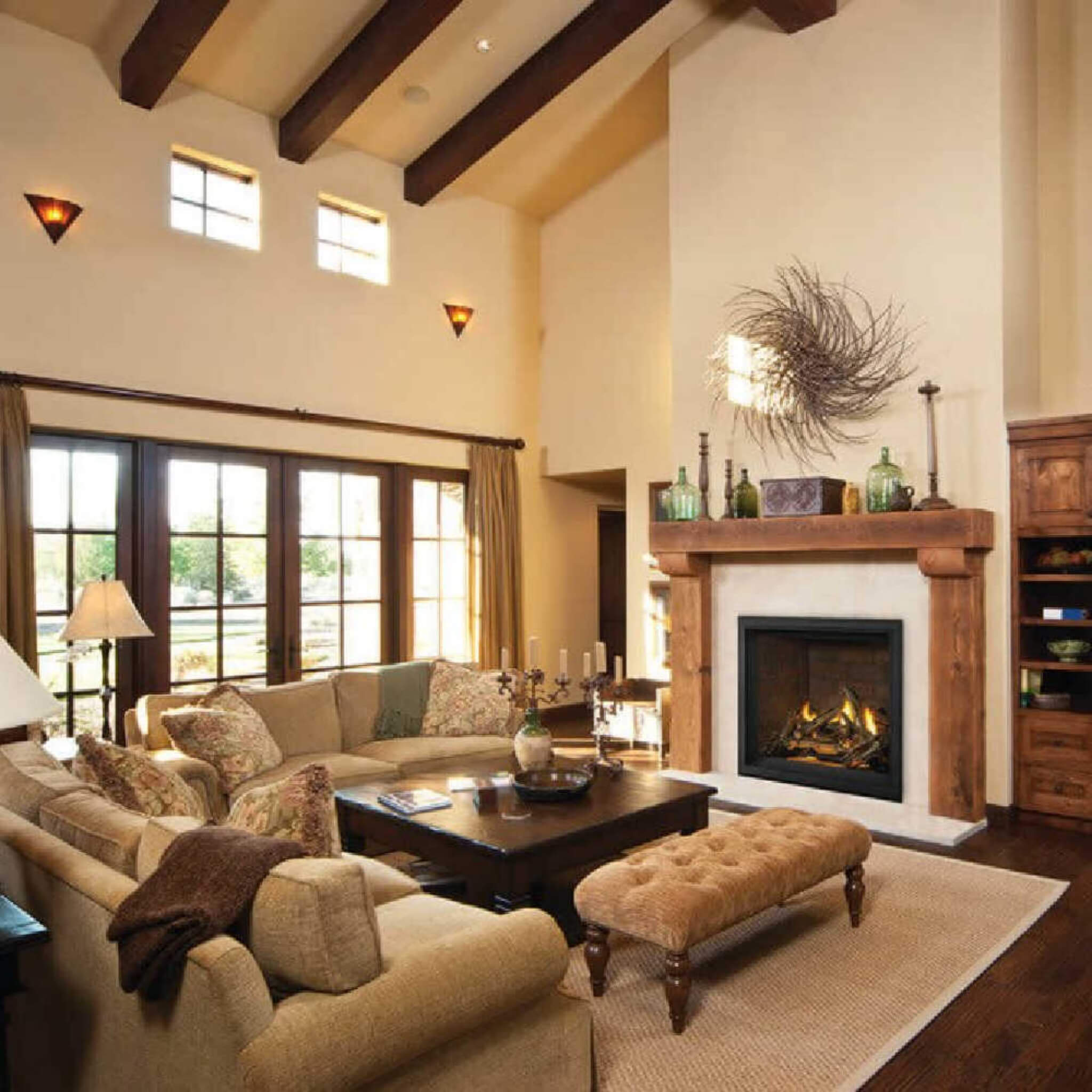 Napoleon Elevation  Propane Gas Fireplace